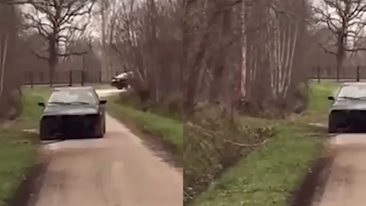 Daarom probeer je boom alleen met oude auto om te trekken