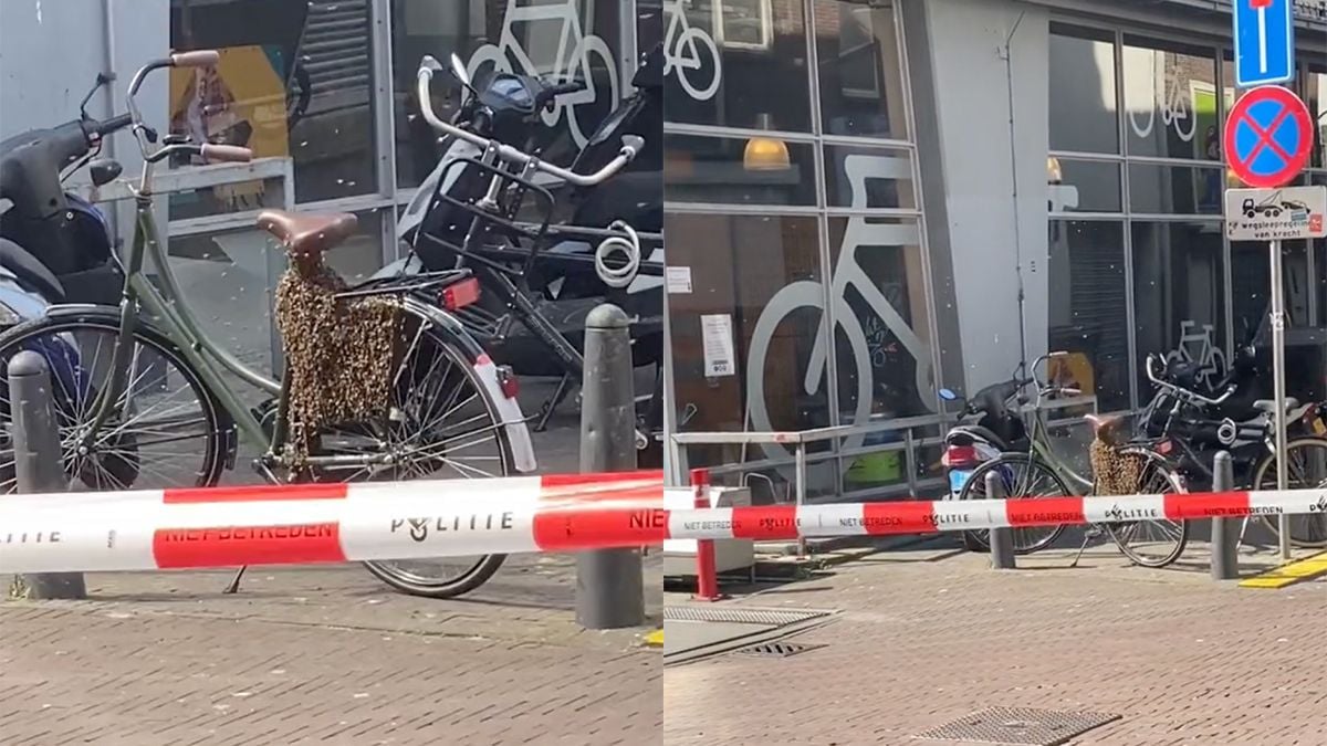 Deze fiets in Den Haag wordt echt nooit gestolen