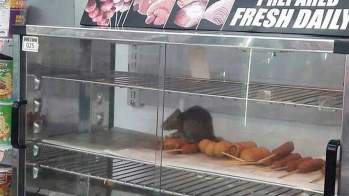 Gewoon een verzameling hilarische foto's #1587