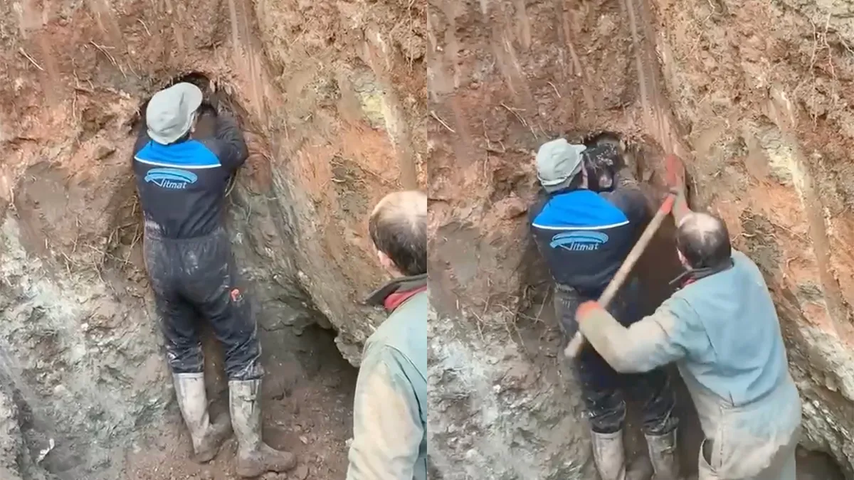 Jachthond zit vast in hol en wordt gered