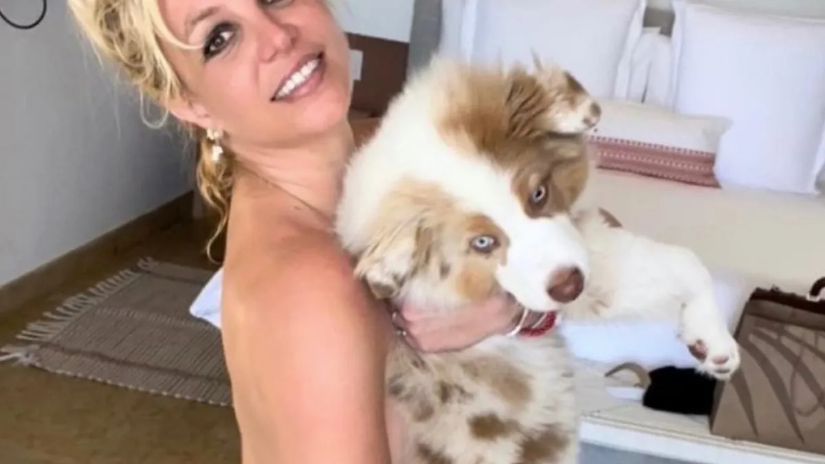 Fans van Britney Spears zonder kledij maken zich weer zorgen