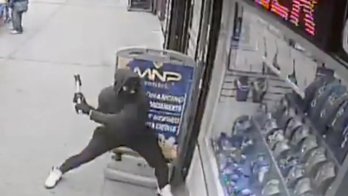 Hondsbrutale smash-and-grab in New York