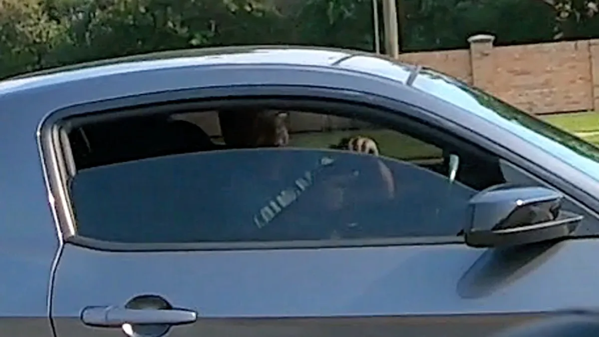 Verkeersruzie op Texaanse wijze