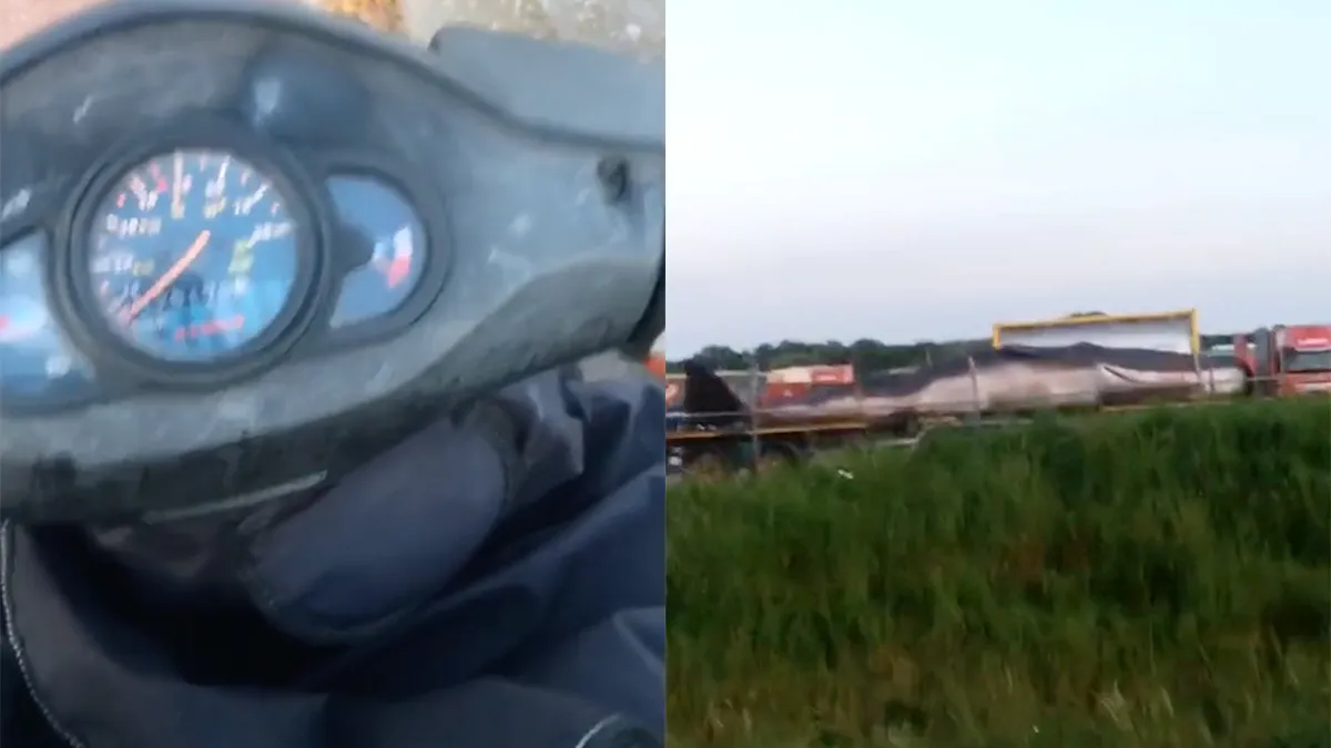 Bezorger in IJmuiden maakt wat mee: Komt walvis tegen