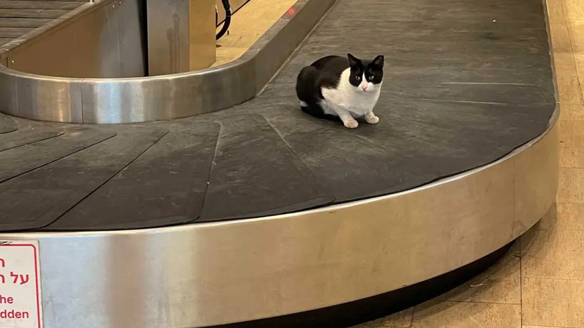 Gewoon een verzameling hilarische foto's #1599