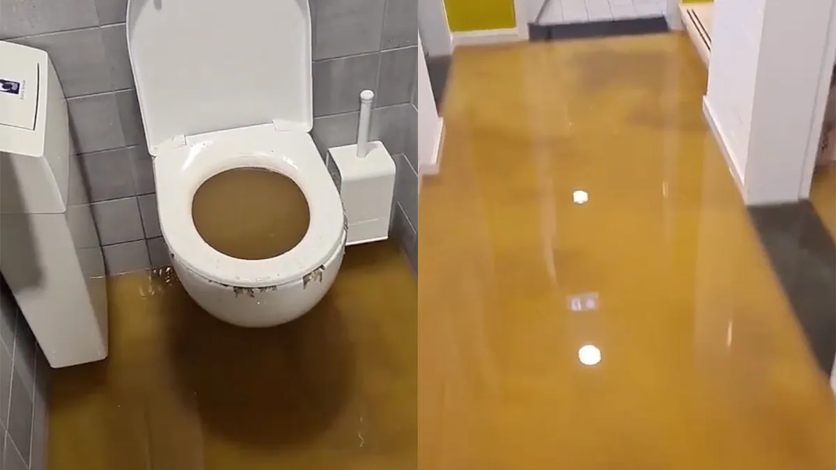 It's a Dirty Job, maar iemand moet deze overstroming fiksen en schoonmaken
