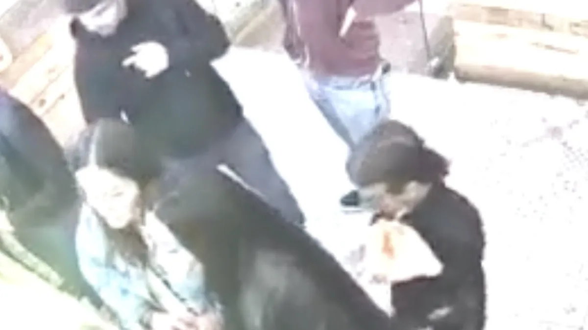 Mini en Maxi zakkenrollers hardhandig tent uit geholpen