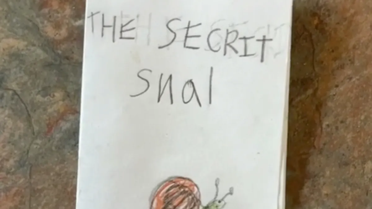 Zelfgemaakt boekje “The Secret Snal” door 6-jarige Abigail is ware internet hit