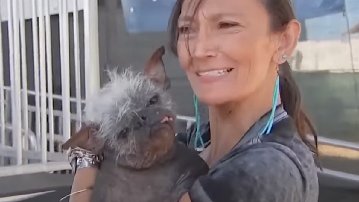 Mr. Happy Face is verkozen tot lelijkste hond ter wereld