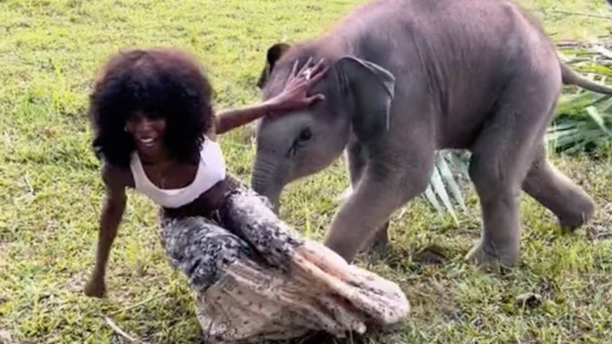 Babyolifant gaat voor rokje van model Megan Milan