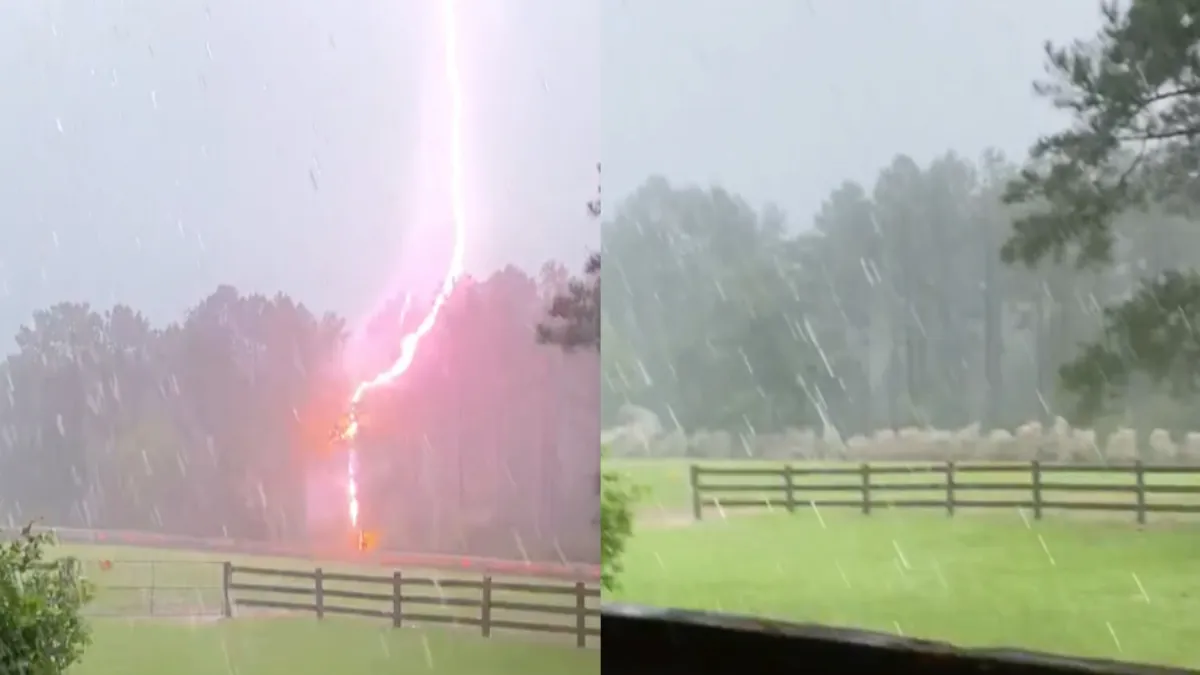 Bliksem slaat in op hek met schrikdraad