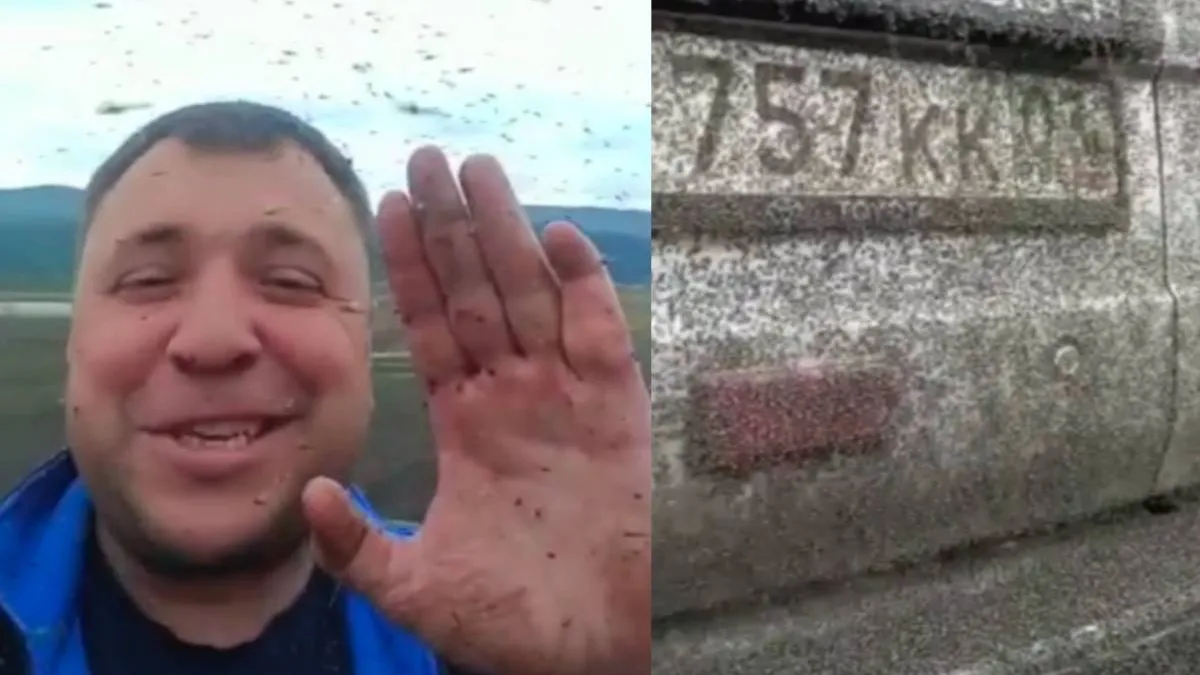In Severobajkalsk hebben ze muggen, heel veel muggen
