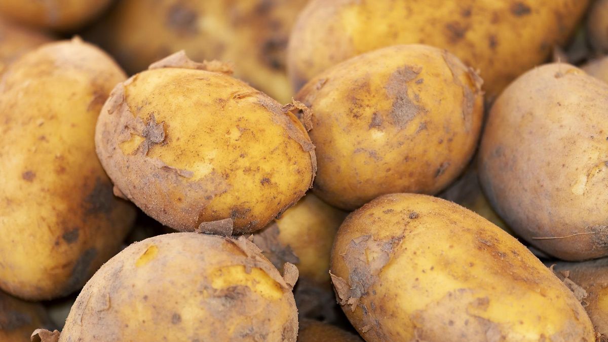 Artsen waarschuwen: 'Stop geen bevroren aardappelen in je achterwerk'