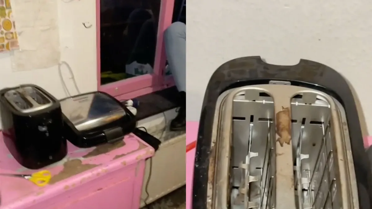 Ondertussen in een studentenhuis: Muizen in broodrooster