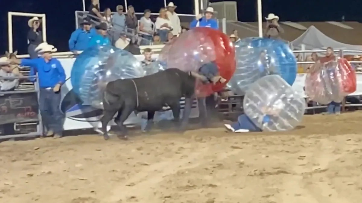 Amerikanen gaan full Amerikaans met bubble-voetbal en stier