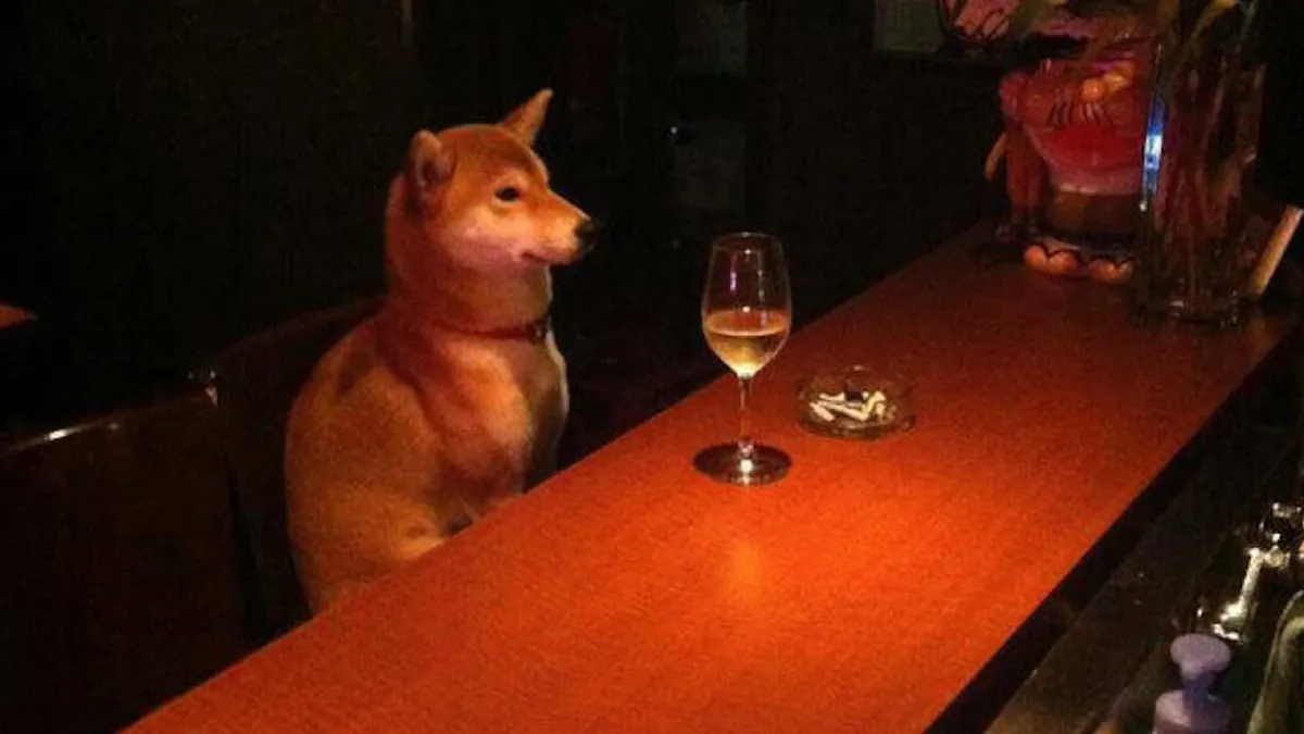 Gewoon een verzameling hilarische foto's #1627