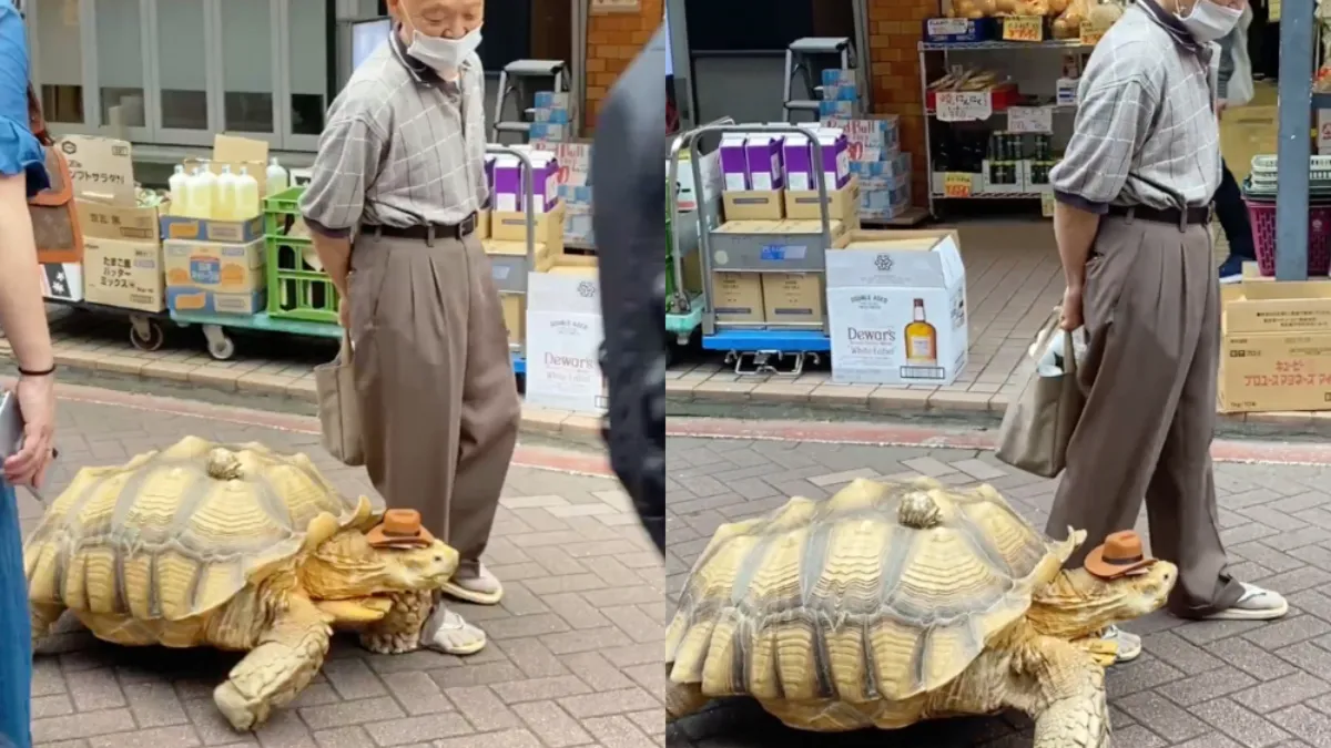 Na een tijd moet je ook gewoon een huisdier zoeken die bij je leeftijd past