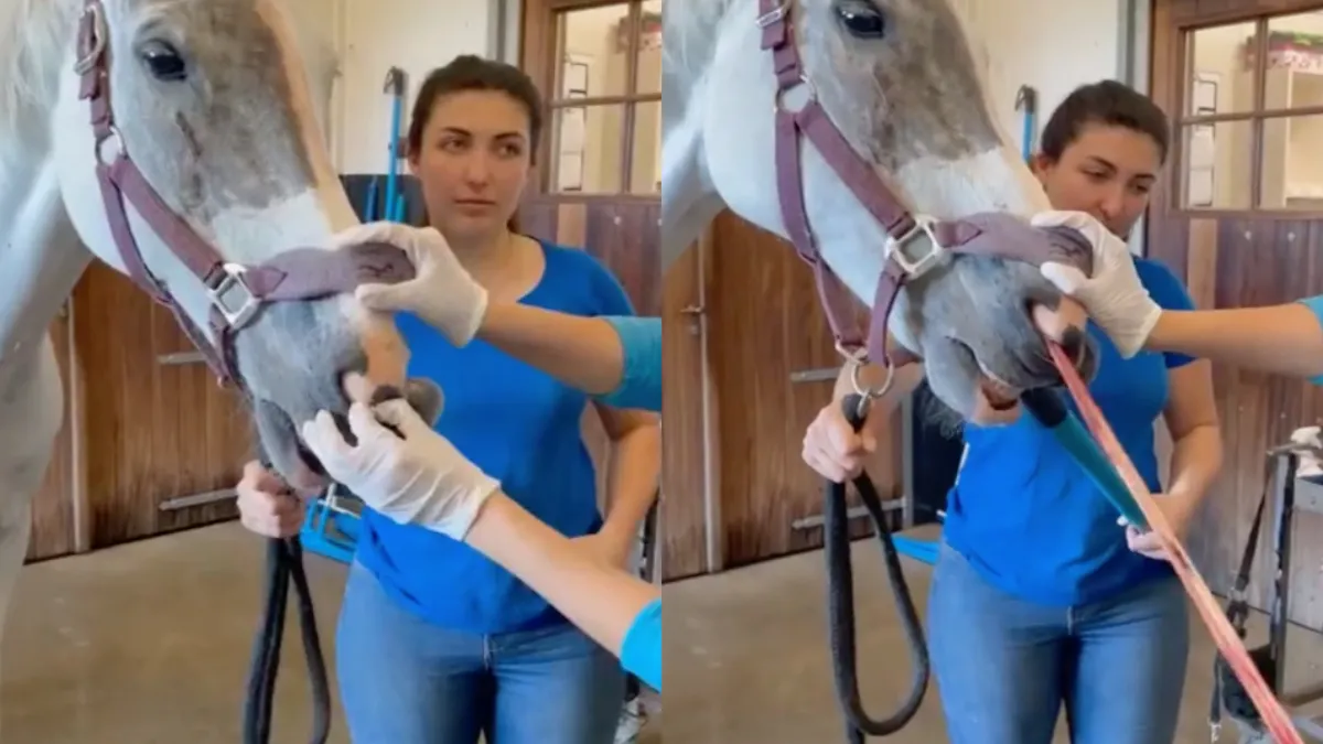 Hier krijg je toch een heel oncomfortabel gevoel van in je neus…