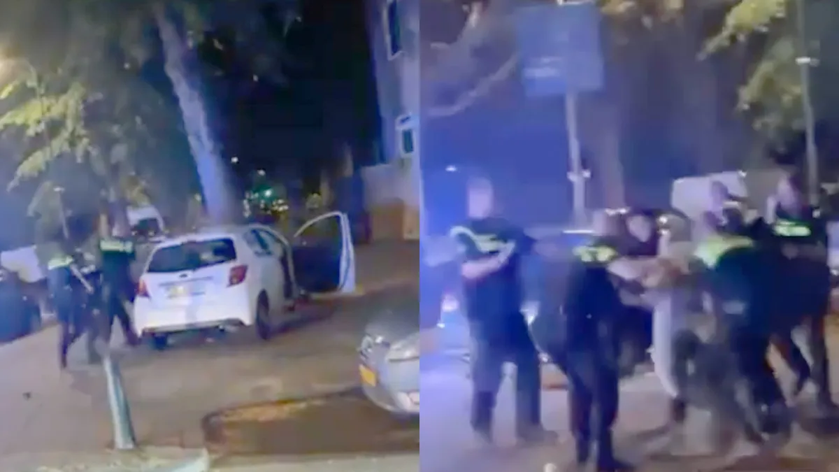 Achtervolging eindigt in crash tegen boom in Den Haag, daarna harde arrestatie