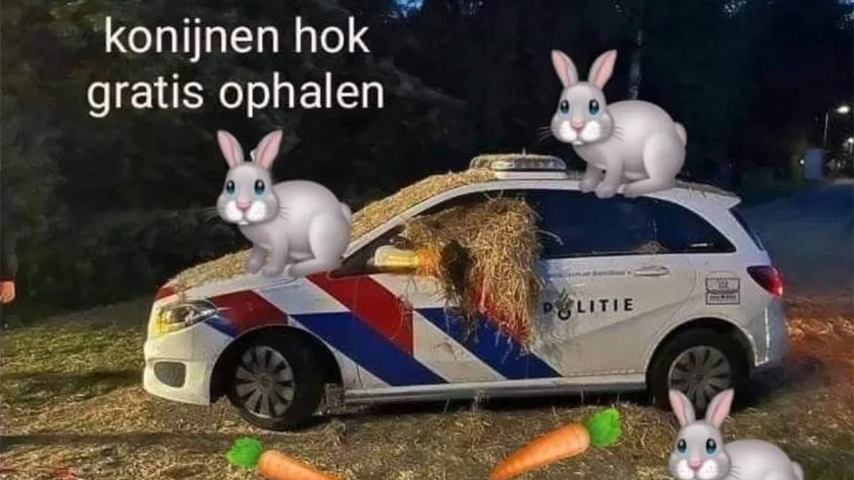 Gewoon een verzameling hilarische foto's #1618