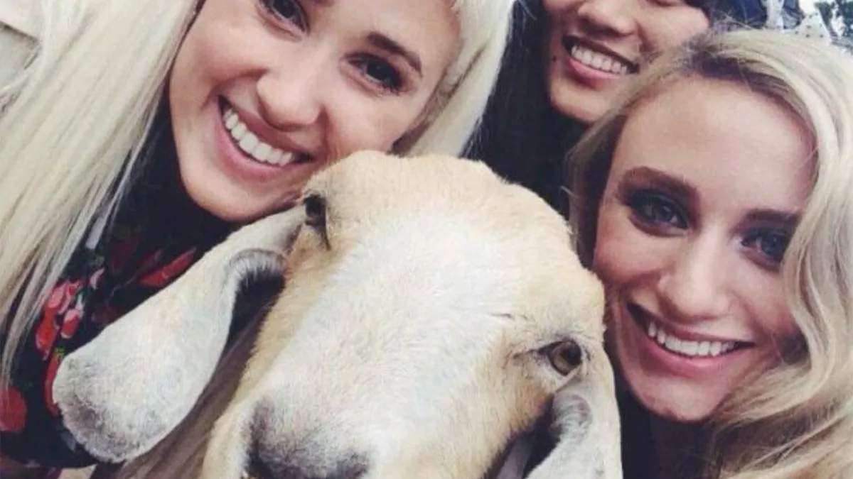 Gewoon een verzameling hilarische foto's #1629