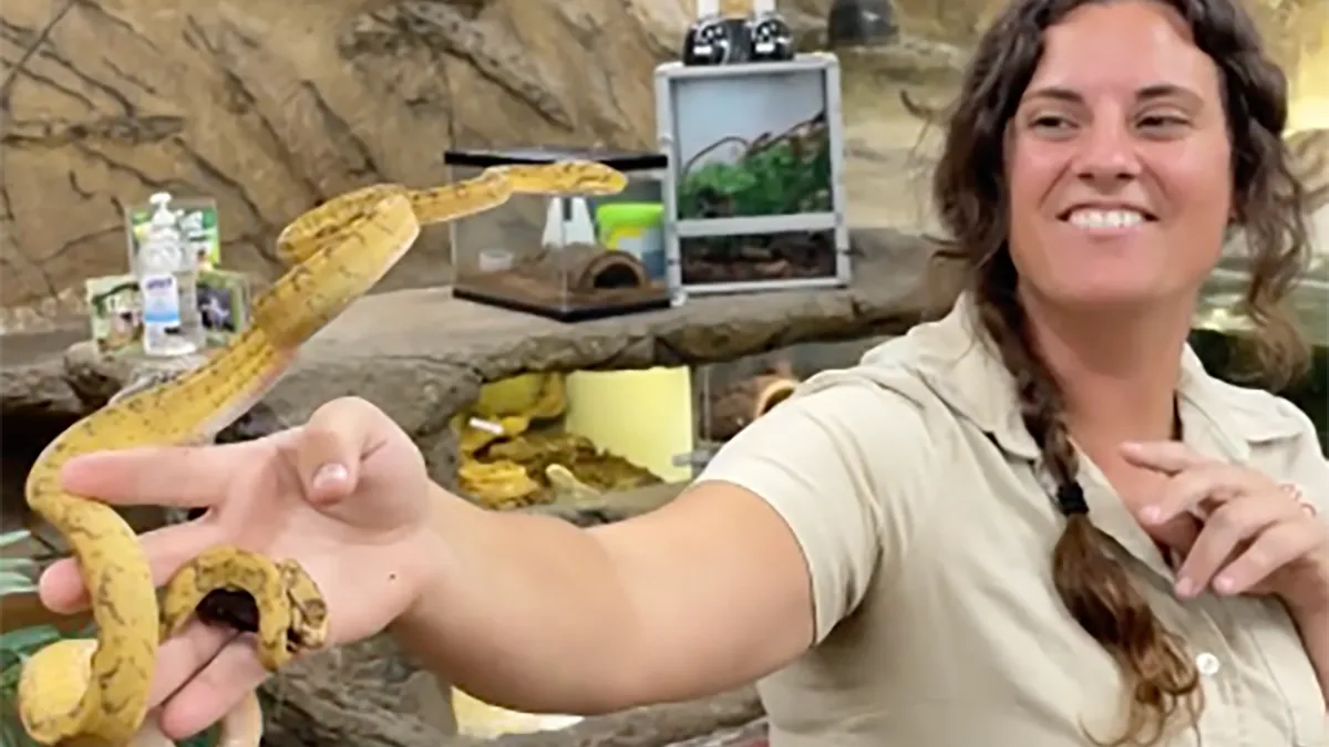 Lachende dame probeert hoofd koel te houden bij agressieve slang