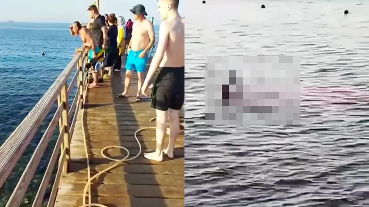 Vrouw gestorven na aanval van haai in Egypte, toeristen zien gebeurtenis vanaf steiger