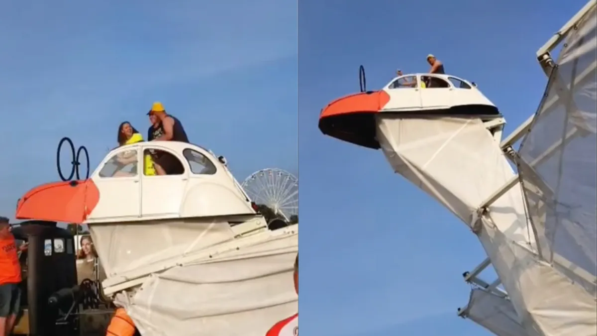 Geen Phoenix, maar een Zeemeeuw die de Zwarte Cross symbolisch heeft geopend