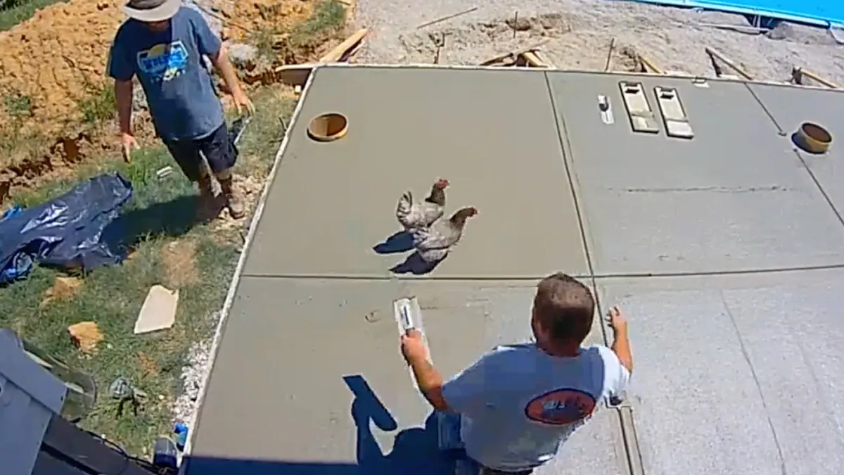 Kippen bezorgen betonploeg overuren