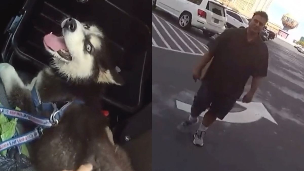 Agent in Las Vegas niet blij met baasje die hond in de auto liet zitten