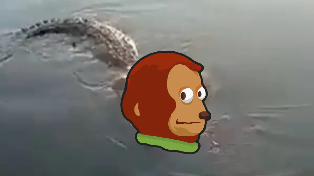 Krokodil is aan het flexen met zijn gevangen Mexicaan