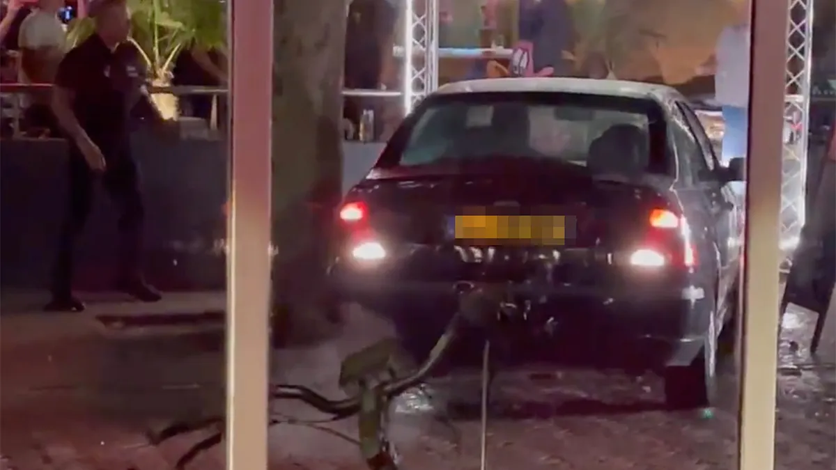 GTA Renesse: Auto rijdt twee keer terras op, bestuurder aangehouden