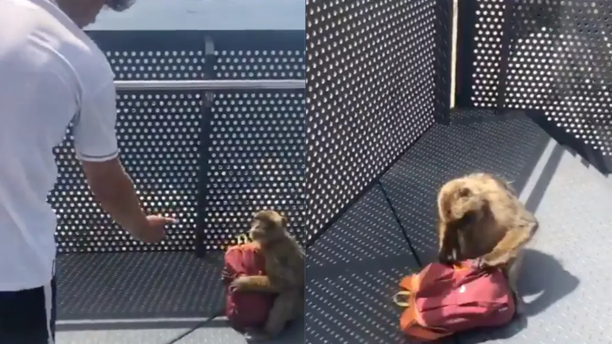 Rots van Gibraltar bezoeken kan ook van het lijstje geschrapt worden