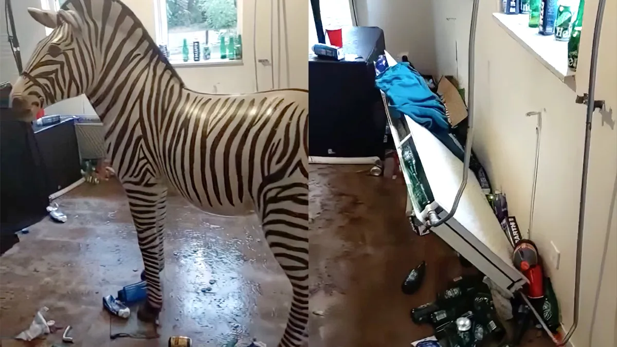 Bedrijfsfeest op vakantiepark van Landal in ’t Loo is gigantisch uit de hand gelopen