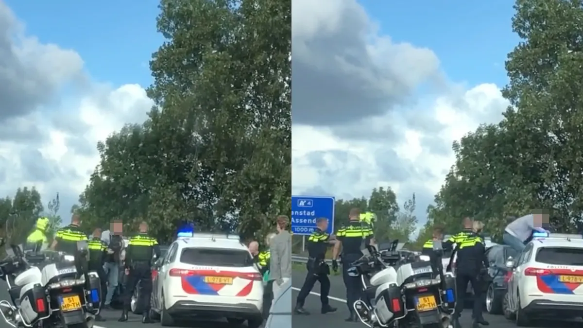 Boze meneer probeert weg te komen, maar krijgt te maken met taser