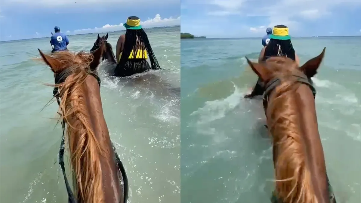 Ga paardrijden in de zee zeiden ze, dat is leuk zeiden ze...