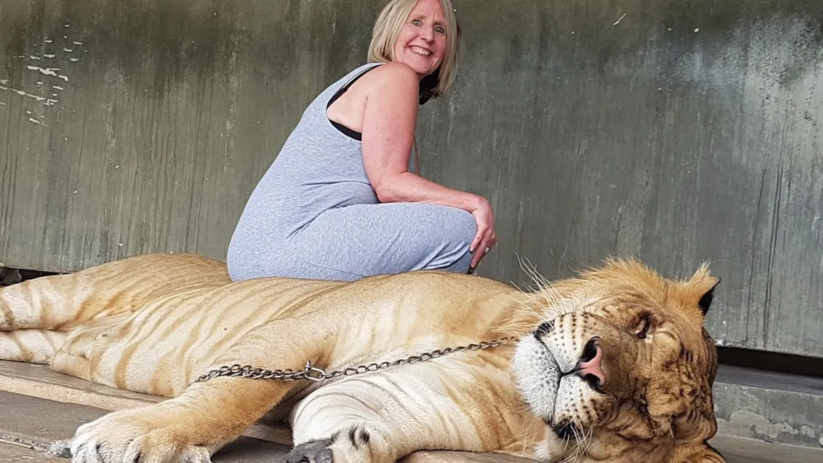 Gewoon een verzameling hilarische foto's #1649