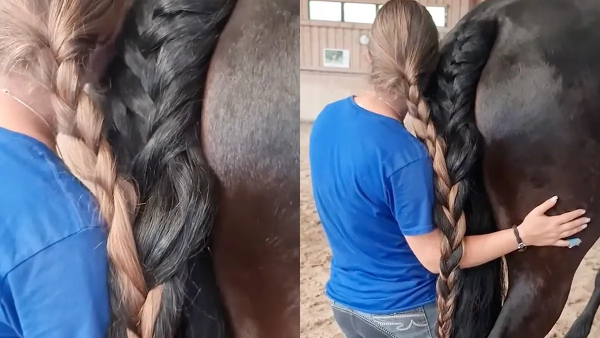 Nominatie Darwin-award: Vrouw vlecht eigen haar in met paard