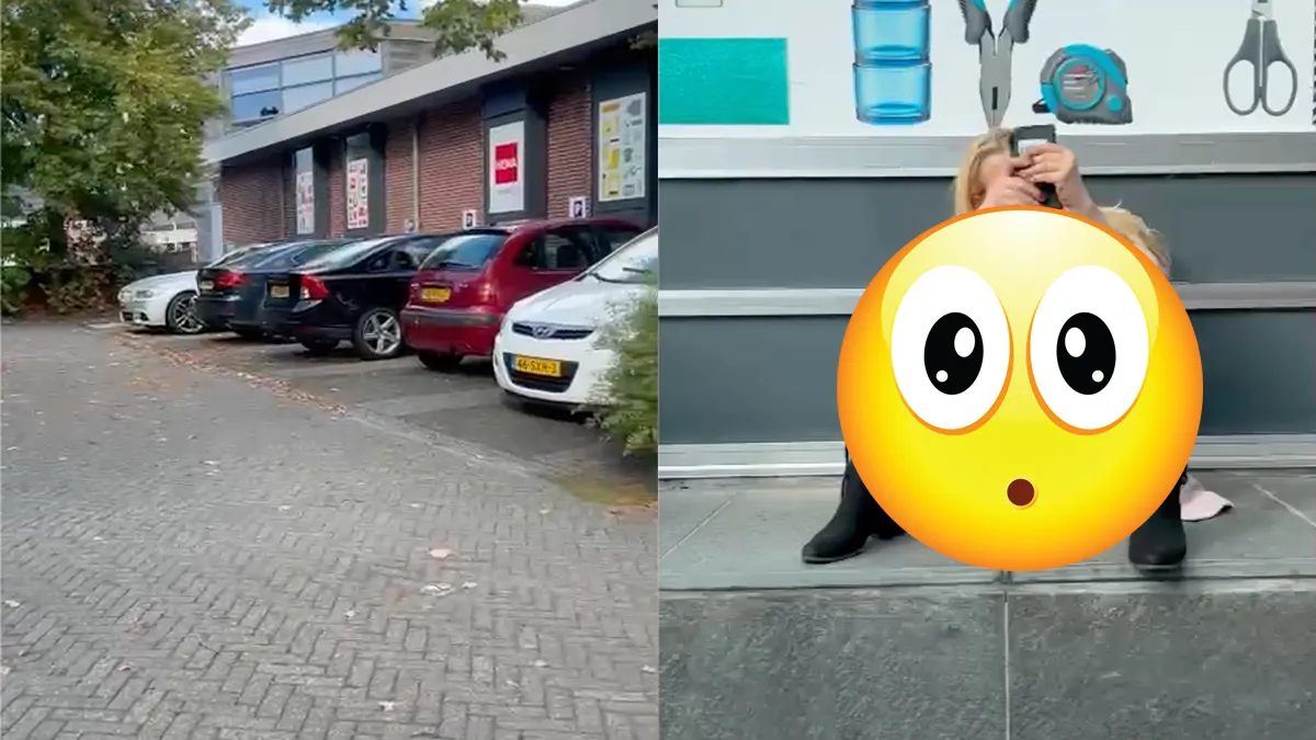 Ondertussen ergens in Nederland: Poesje heeft frisse lucht nodig