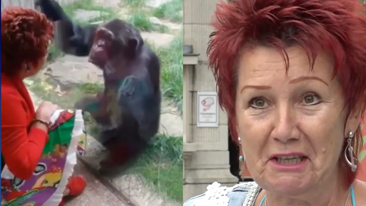 Vrouw die relatie kreeg met aap definitief niet langer welkom in Zoo van Antwerpen
