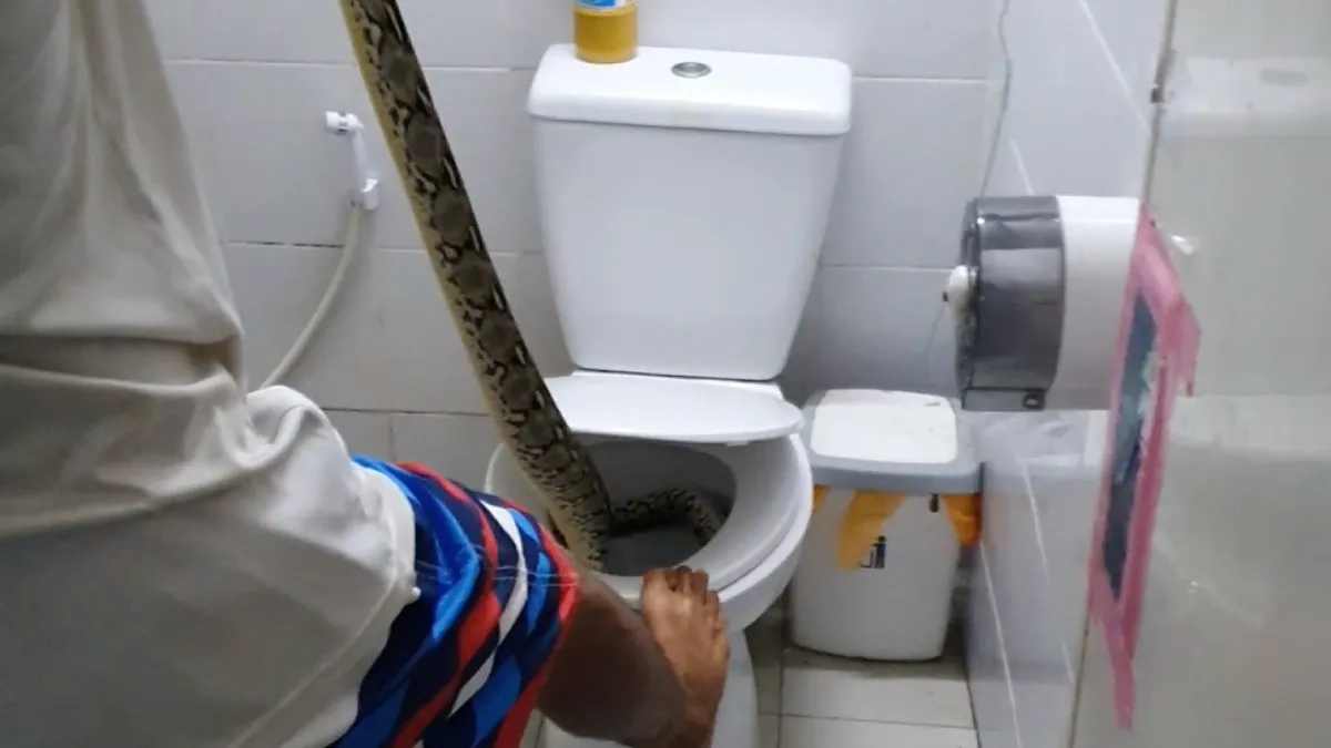 Nachtmerrie materiaal in de porseleinen troon