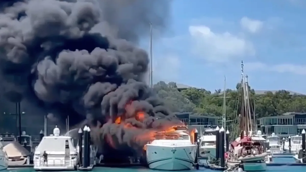 Beste fik in de haven van het Australische Hamilton Island