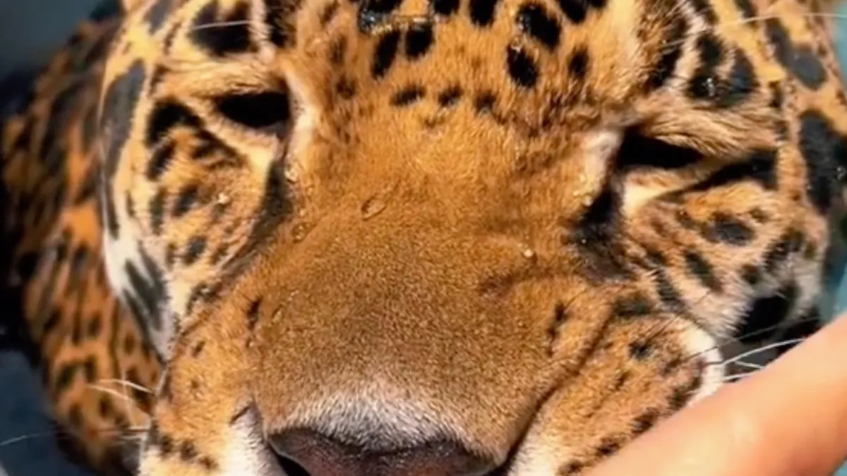 Het is weer eens wat anders dan de auto wassen