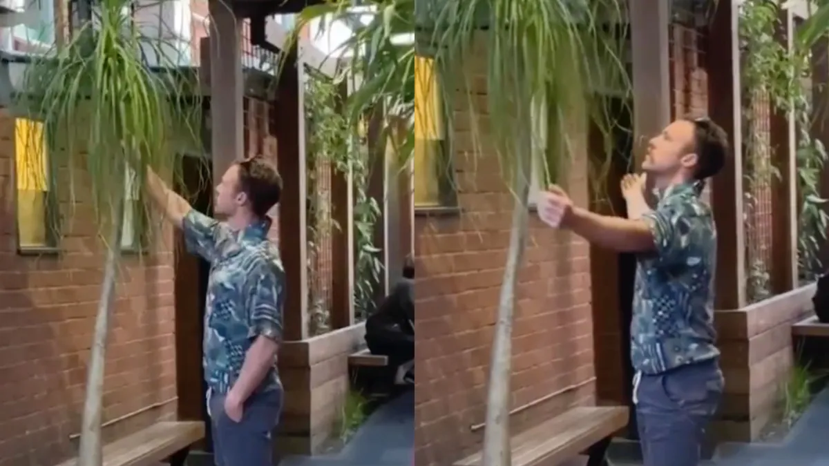 Als je drugs ineens heel erg hun werk gaan doen