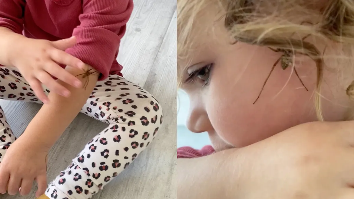 En dan besef je dat een 2-jarig meisje minder bang is voor spinnen dan jij