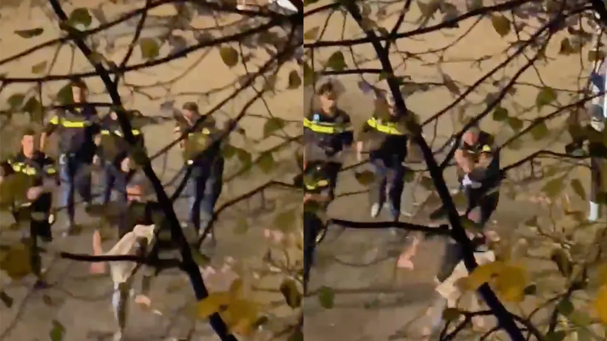 Iemand in Den Haag werd wakker met geschreeuw: Komt die taser