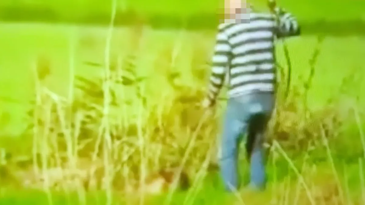 Man gefilmd terwijl hij hond mishandelt, vriendin verbreekt relatie en zet hem op straat