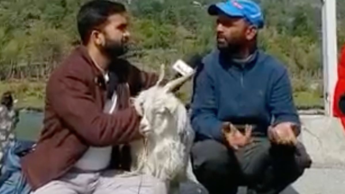 Interviewer leert een wijze les dankzij geit
