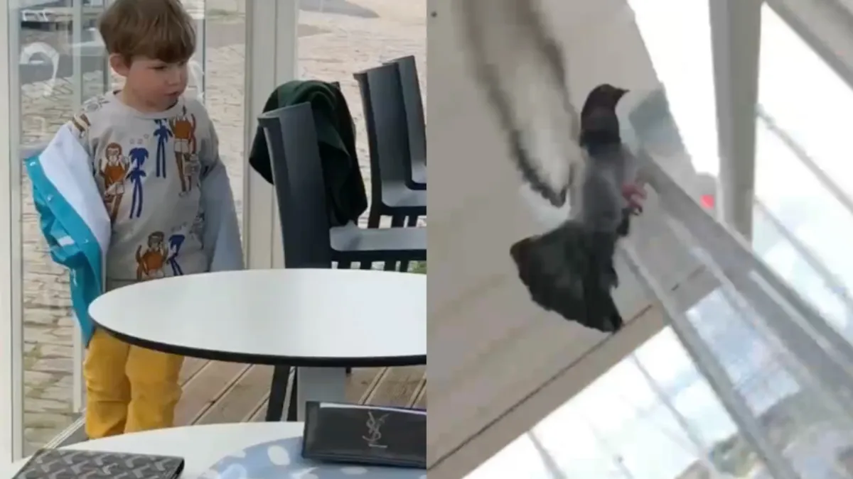 Dankzij duif leert ventje wijze levensles over glas