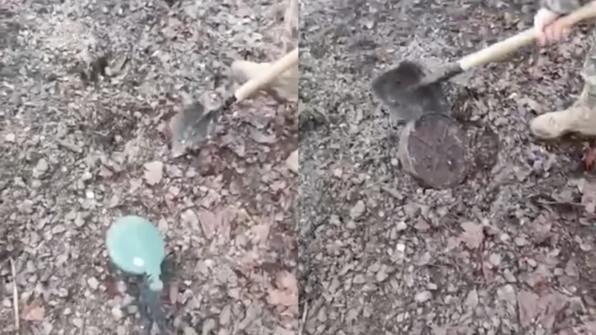 Soldaten niet echt onder de indruk van mijn tijdens het opruimen